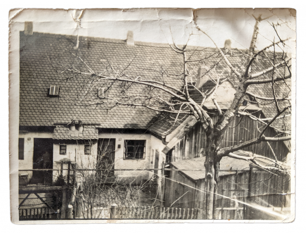 Historisches Foto, das zwei Reihenhäuser in der Selgradstraße in Amberg zeigt (Foto: aus Privatbesitz, Bearbeitung: Julian Moder).