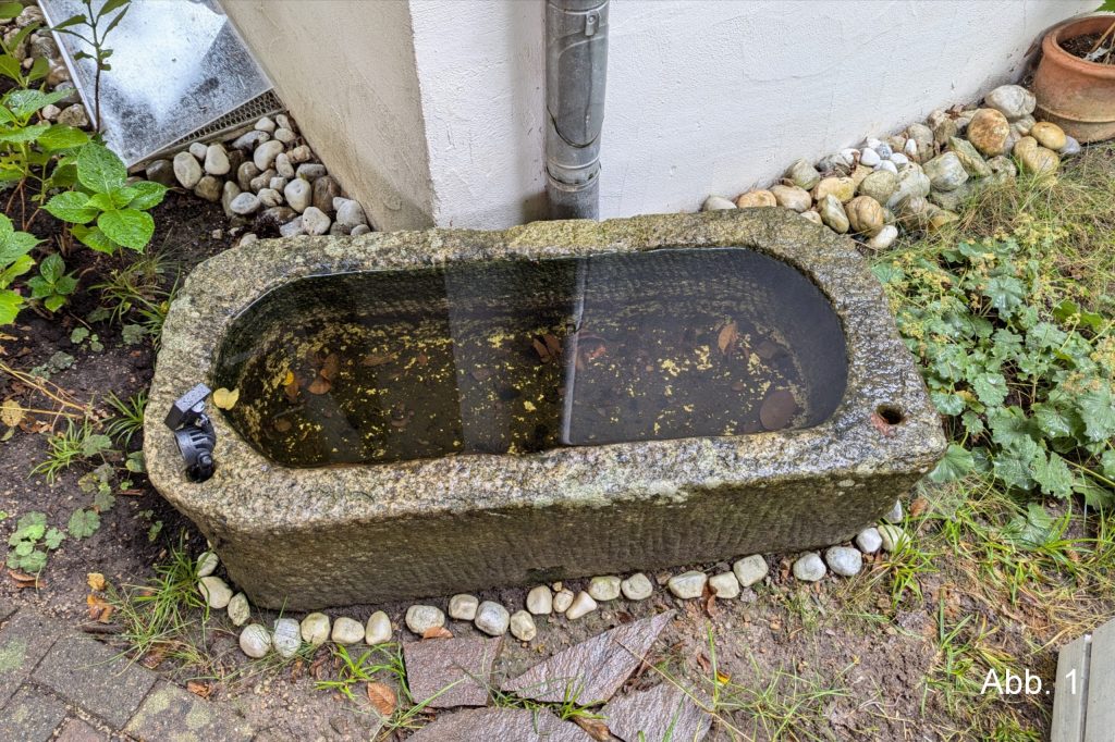 Steintrog mit Wasser gefüllt 