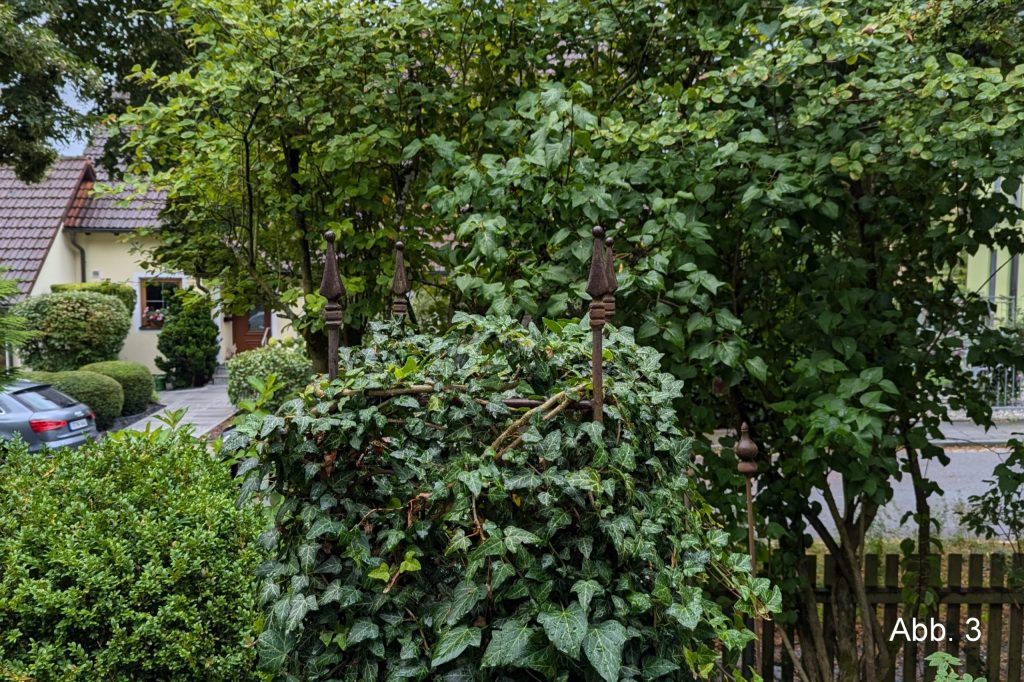 Eisengestell mit Efeu überwachsel